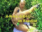 feuchteschnecke – A-N-A-L-G-E-I-L im Rapsfeld