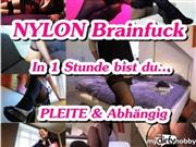 SexyIsa – BEST OF – NYLON Brainfuck – in 1 Std bist du Pleite & Abhängig FETISCH