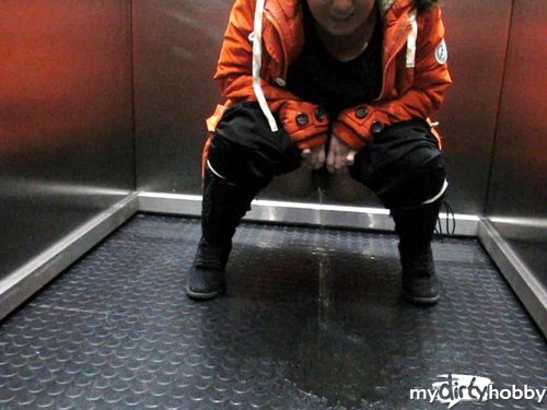 geil-poppen - Skandal voll im Aufzug gepinkelt