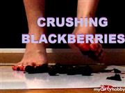 Jasminum – Crushing Blackberries