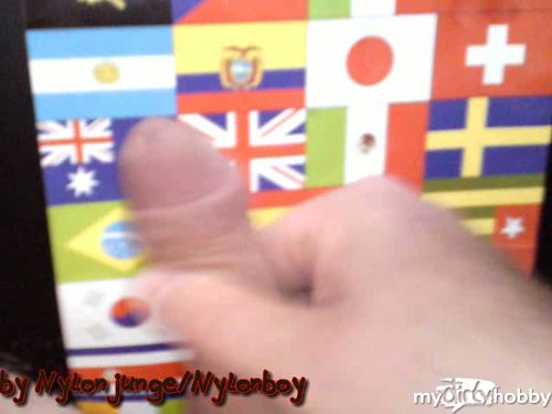 nylonjunge - Flaggen der Welt