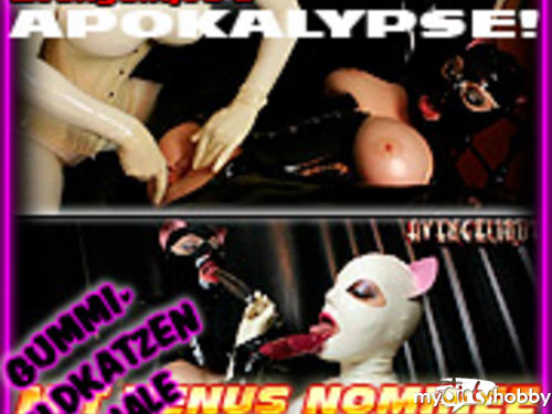 Avengelique - APOKALYPSE - TAG 9: Gummiwildkatzenfinale