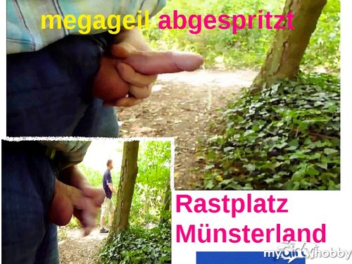 schwanzspiel - Rastplatz A1 - Münsterland