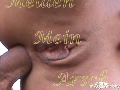 aslasta - Melden Mein Arsch