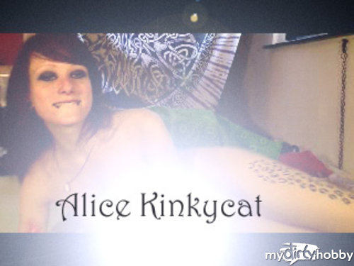 AliceKinkycat - Möhrchen :3