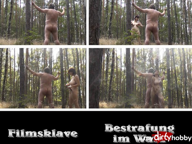 filmsklave - Kostenlose Video Stream Vorschau - 2351821