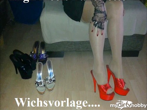 ladygaga-heels - Wichsvorlage - geile High Heels Clogs