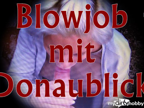 Kim-van-Staart - Blowjob mit Donaublick