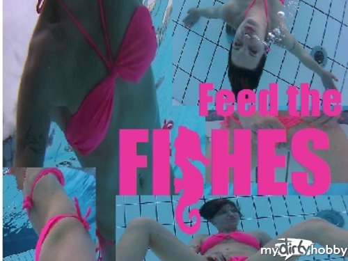 HornyRoxy in Feed the Fishes