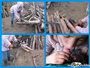 Gabby30 – gather firewood on the farm