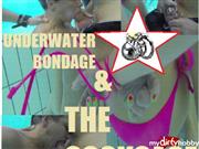 HornyRoxy – Underwater Bondage & The CockCage
