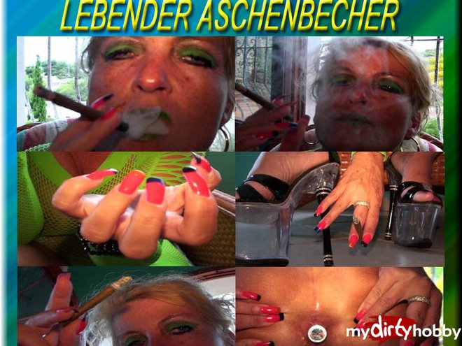 Bitch-Sheila - Kostenlose Video Stream Vorschau - 3600921