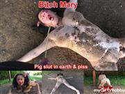 BitchMary – pig slut in earth and piss